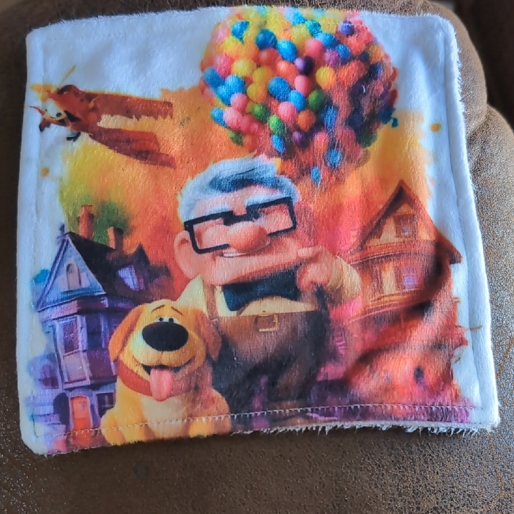 🍁UP Movie Washcloth